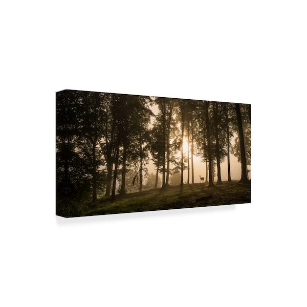 Leif Londal 'Deer In The Morning Mist' Canvas Art,16x32